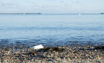 Ecodesign to Reduce the Effects of Plastic Pollution on the Environment