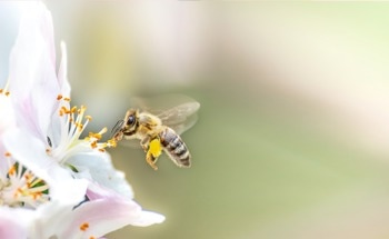 BeeHero Named on the 2024 Global Cleantech 100