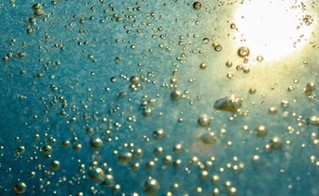 Capturing Greenhouse Gases With the Help of Light