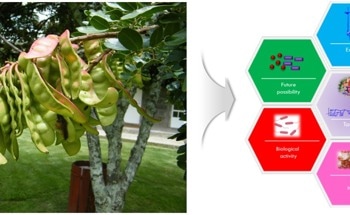 Going Beyond Plastic: Chung-Ang University Team Explores Tara Gum as a Green Polymer