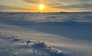 New Evidence About Arctic Warming