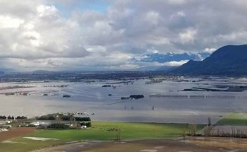 Sustainable Logging: Overcoming Worldwide Flooding Concerns