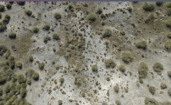 New Tools to Safeguard Drylands in a Changing World