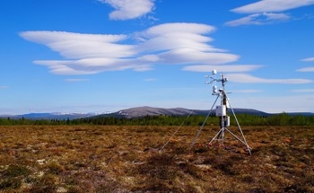 The Effect of Warming and Vegetation on Methane Emissions from Wetlands