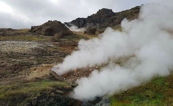New Insights Allow Precise Forecast of the Carbon Cycle