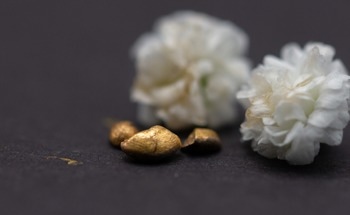 Turning Waste Into Gold