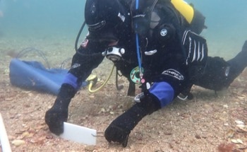 Potential of Marine Habitats in Countering Climate Change