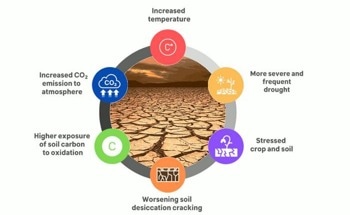 Revealing the Devastating Impact of Droughts on Soil Carbon
