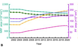 Understanding the Shifting Dynamics of Forests