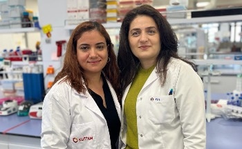 New Research Into the Impact of Microplastics and Nanoplastics on Human Health is Urgently Required Due to ‘Significant Threat’ to Human Health