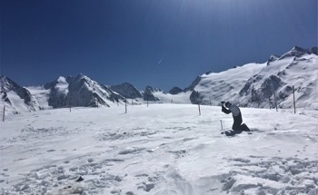 Impact of Climate Change on Ecosystems in the Alps