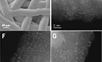 New Catalyst For Scaling Up Green Hydrogen Production