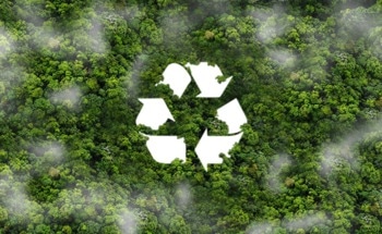 Catalysis Unlocks Sustainable Feedstocks for Chemicals