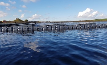 Some Countries Could Meet Their Total Electricity Needs From Floating Solar Panels, Research Shows