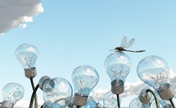 Nitrous Oxide Emissions Soared 40 Percent from 1980-2020, Greatly Accelerating Climate Change, New Study Led by Boston College Scientists Finds