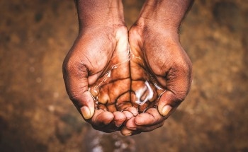 Researchers Highlight Cost-Effective Natural Biosorbents for Global Clean Water Solutions