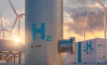 Biomass-Derived BCN Nanosheets Boost Hydrogen Production