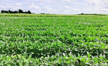 Helping Climate by Reducing Farm Nitrous Oxide