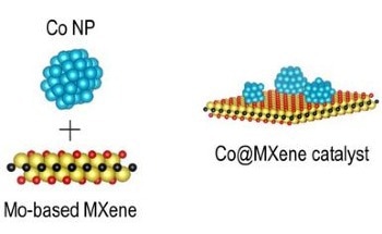 Novel Molybdenum-Based MXene for Sustainable Hydrogen Production