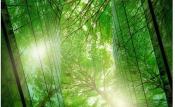 The Central Role of Energy Storage in Our Renewable Energy Future