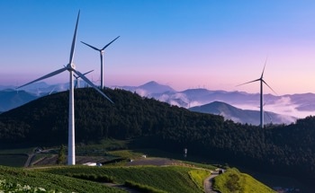 Wind Farm Construction in Hunan Province Harms Soil Nutrients and Vegetation