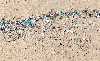 Freezing Affects Microplastic Size and Buoyancy