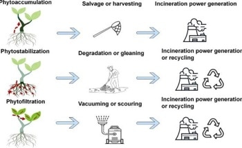 A Promising Strategy for Mitigating Micro and Nanoplastic Pollution