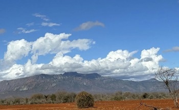Deforestation Amplifies Global Warming, Threatens African Forests