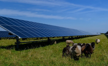 Agrivoltaic Efficiency Boosted with New Prediction Tool