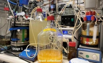 German Researchers Develop Sustainable Protein Source from Bacteria
