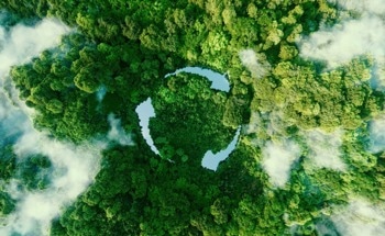 How Carbon Footprint Inequality Affects Climate Policy Support