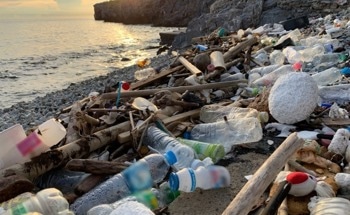 A Numerical Benchmark for Global Marine Plastic Pollution Reduction