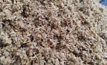 POLYMEER Kicks Off to Transform Brewers Waste’ Into High-Value Bioplastics
