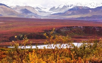 Sulfide Oxidation in Permafrost: Impacts on Climate Change