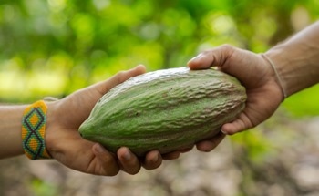 Biodiversity is Fundamental to Feed a Hungry Planet - IFAD at COP16 Colombia