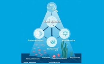 Unraveling the Molecular Mechanisms of Nanoplastic Toxicity in Aquatic Organisms