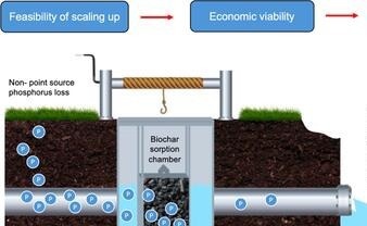 Combating Phosphorus Pollution with Eco-Friendly Pellets
