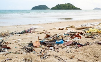 BPDI: Revolutionizing Beach Plastic Detection with Satellite Imagery