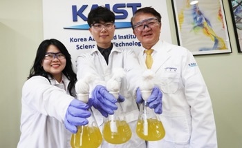 Engineering Bacteria to Produce Sustainable Plastic Monomers