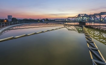 Enhancing Wastewater Treatment with Algae and Yeast
