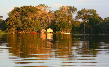 Verra and State of Amazonas to Collaborate on Strengthening State’s Carbon Markets
