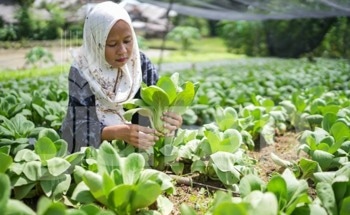 IFAD’s Impact Report 2023: Supporting 8 Million Rural People Through Sustainable Bonds
