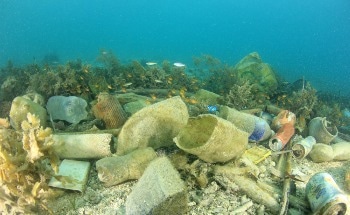 A Nationwide Assessment of Plastic Pollution in Japanese Rivers
