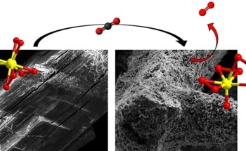 New Molecule Could Revolutionize Carbon Dioxide Removal