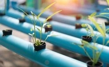 Circular Economy Practices Drive Sustainable Solutions in Canadian Agriculture