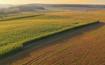 UAV Hyperspectral Imagery for Improved Maize Yield Prediction and Sustainability