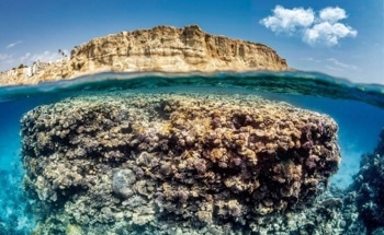 Rising Temperatures Threaten Reefs-Study Pinpoints Where Conservation Efforts are Most Needed