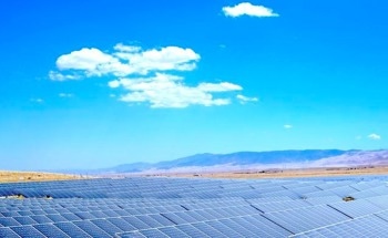 Assessing the Thermal Interactions Between Solar Farms and the Environment
