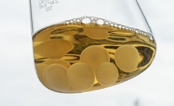 The Future of Biobatteries: A Fungal Approach