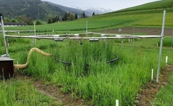 Climate Change Impacts Water Movement in Grasslands
